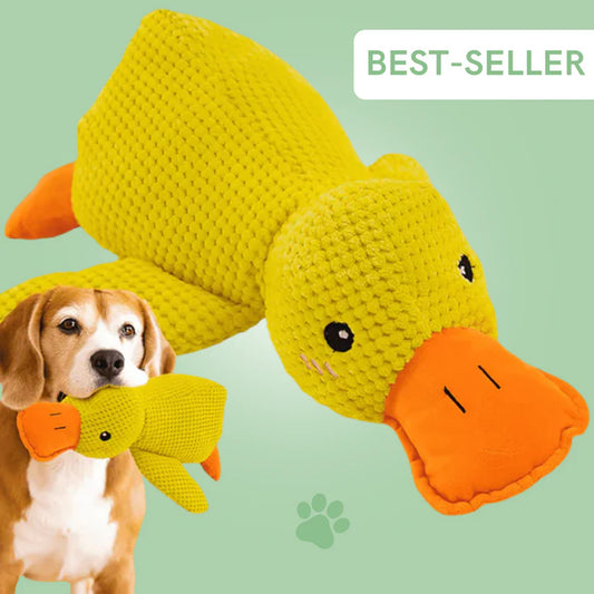 Canard Anti-Stress
