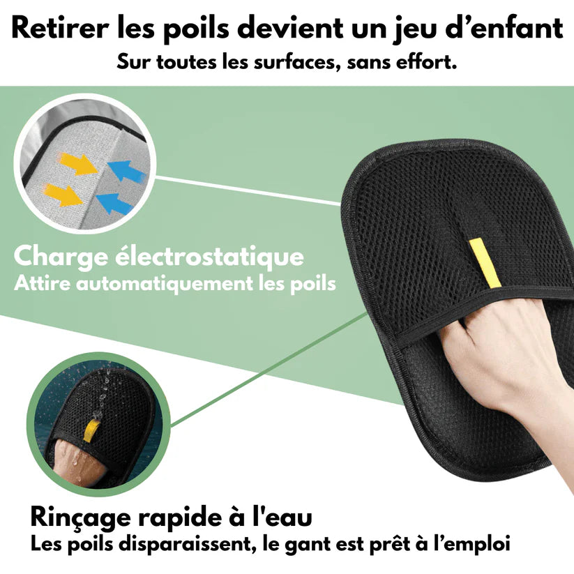 Gant attrape-poils