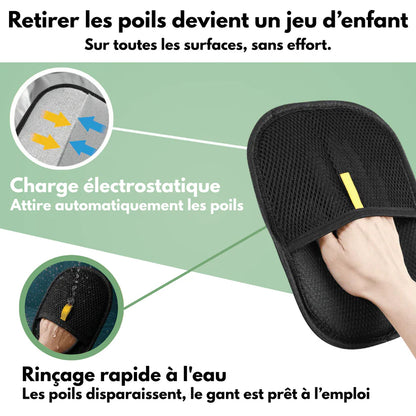 Gant attrape-poils