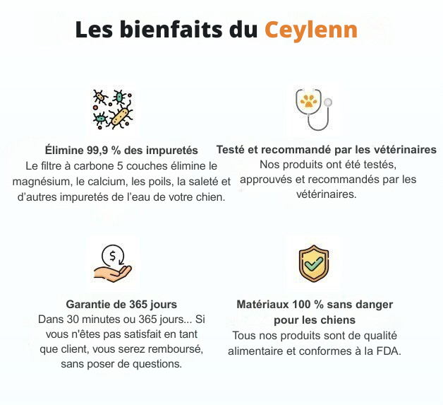 Image centrée